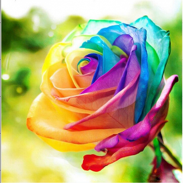 Partial Round Drill 5D Diamond Painting Kit colorful rose-PW544
