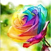 Partial Round Drill 5D Diamond Painting Kit colorful rose-PW544