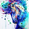 Animal Horse Paint By Numbers Kits PW176