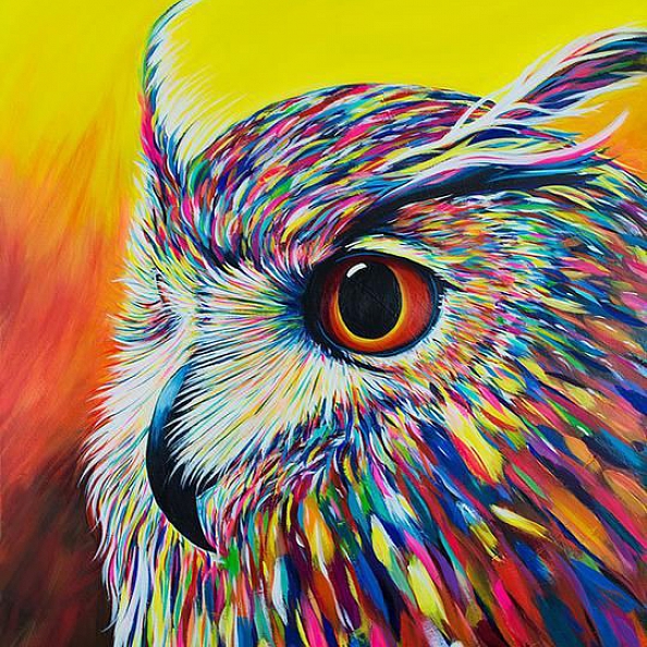 Owl Paint By Numbers Kits PW168