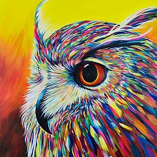 Owl Paint By Numbers Kits PW168