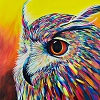 Owl Paint By Numbers Kits PW168
