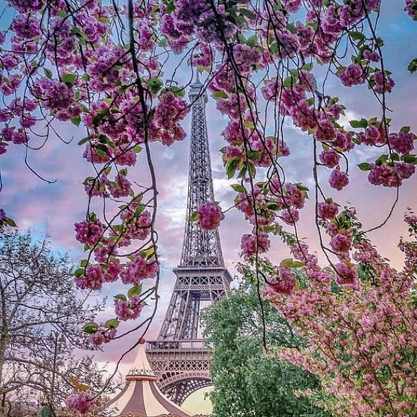 Landscape Eiffel Tower Paint By Numbers Kits PW358