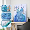 DIY Crystal Rhinestone Diamond Painting-Peacock PW808