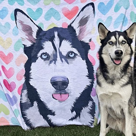 Custom Dog Blankets Personalized Pet Photo Blankets Painted Art Portrait Fleece Blanket PW005