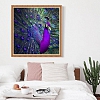 Peacock - Full Round Diamond Painting PW690