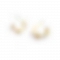 Opal hoop earrings PWB043