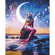 DIY Paint By Numbers Kit(16x20in40x50cm) - Mermaid  PW791