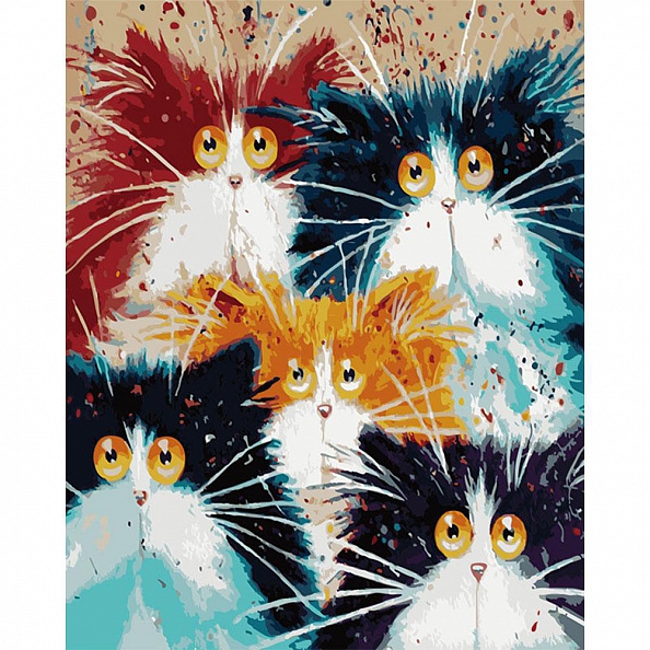 Diy Paint by Number Kits -Fluffy Cats PW660